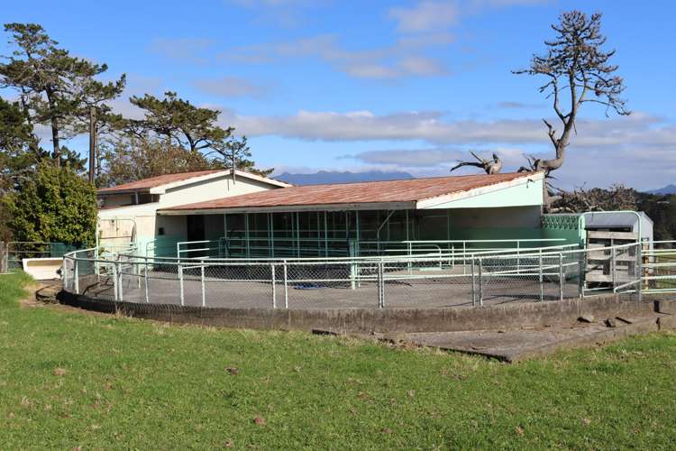 344 Hursthouse Road Inglewood_7