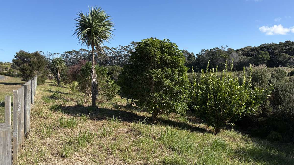 Lot 8 4815 State Highway 1_3