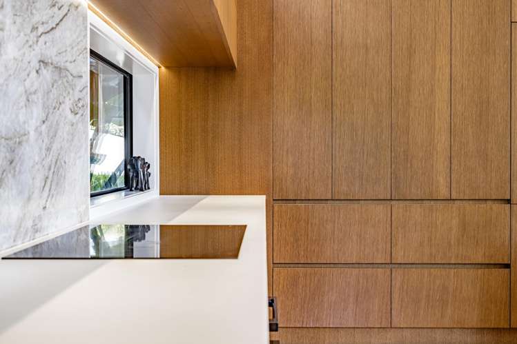 16 Darwin Lane Remuera_6