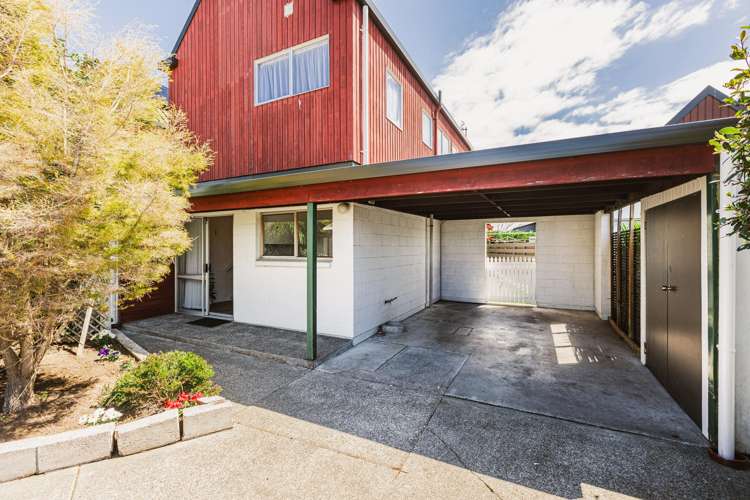 163A Guppy Road Taradale_10