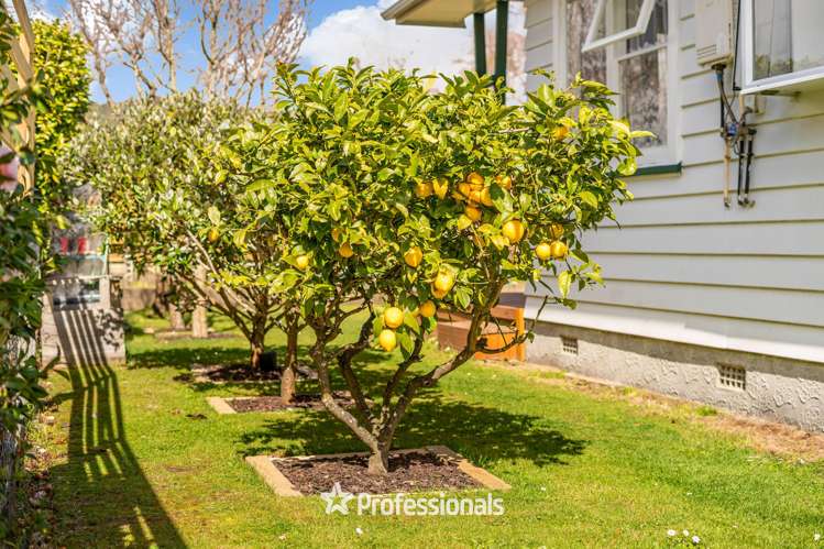 247 Fergusson Drive Heretaunga_16