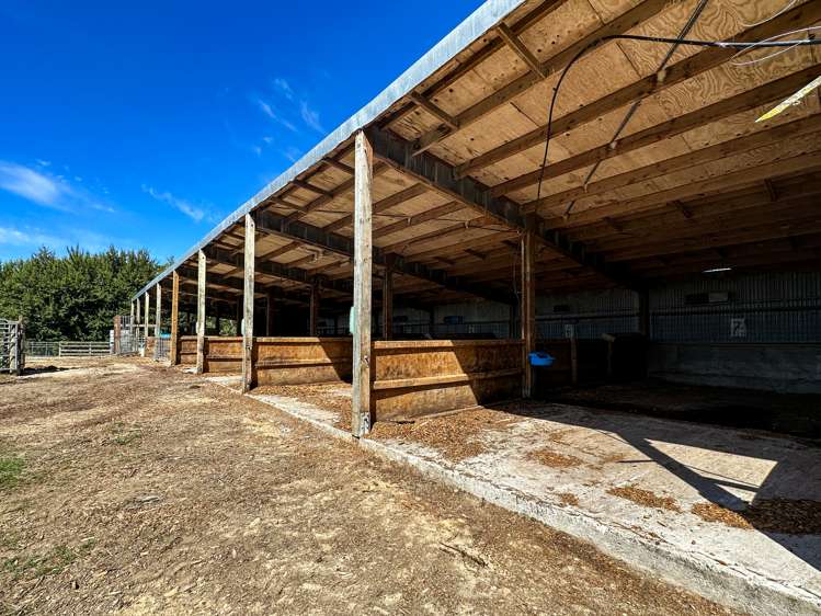 50 Mill Road Gore Surrounds_14