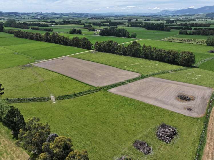 261 Middle Road Tapanui_7