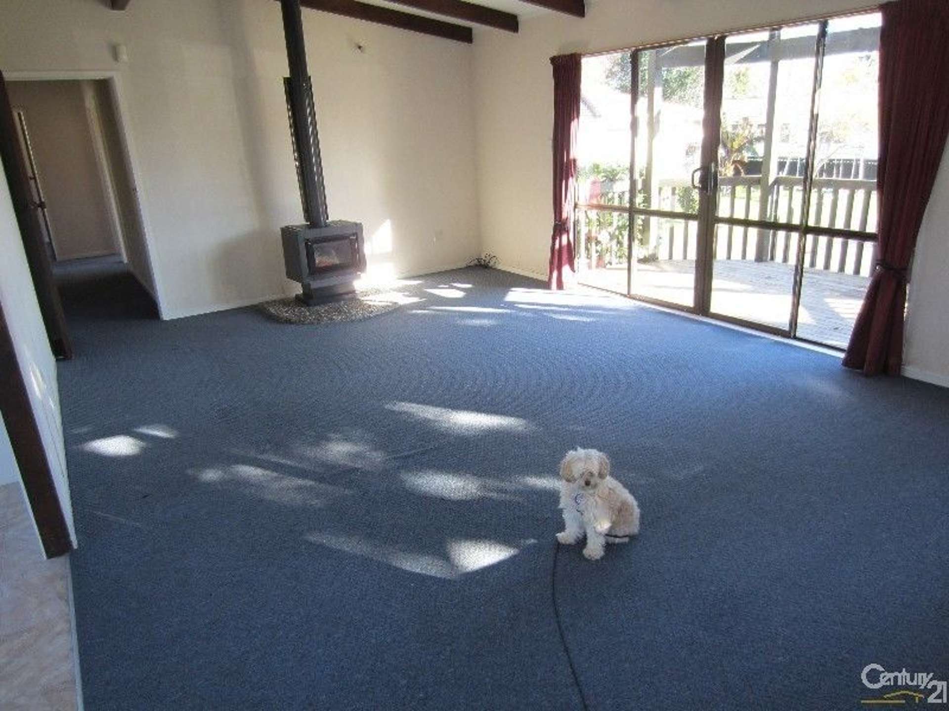 4 Crestlands Place Papakura_0