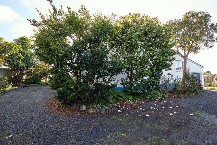 24 Hastings Street Kaikoura_42