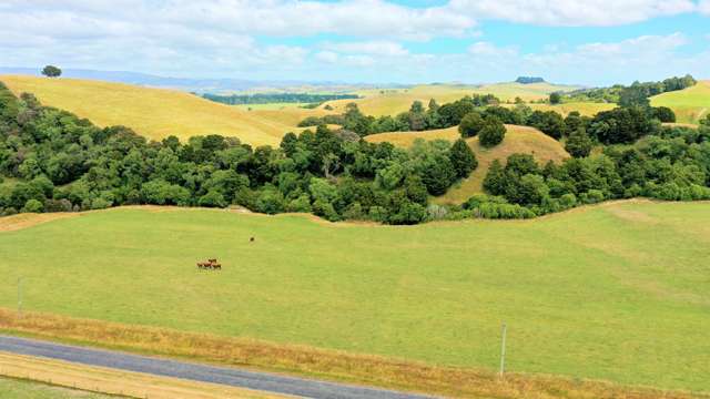 Kiritaki Road Dannevirke_1