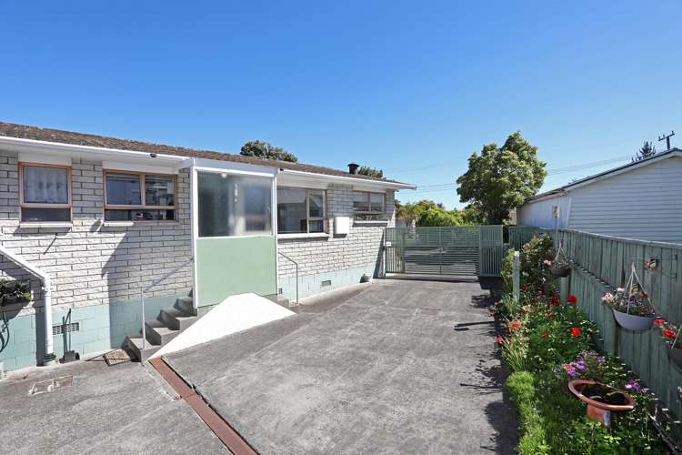 21 Flower Street Bulls_18