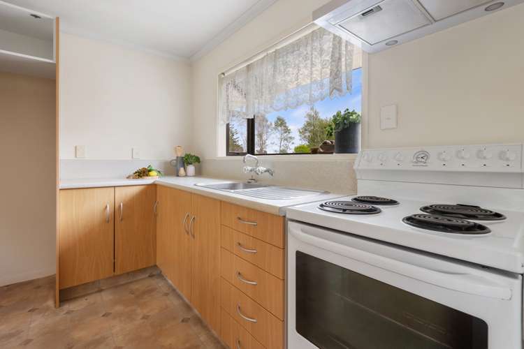 2 Hydro Road Edgecumbe_10