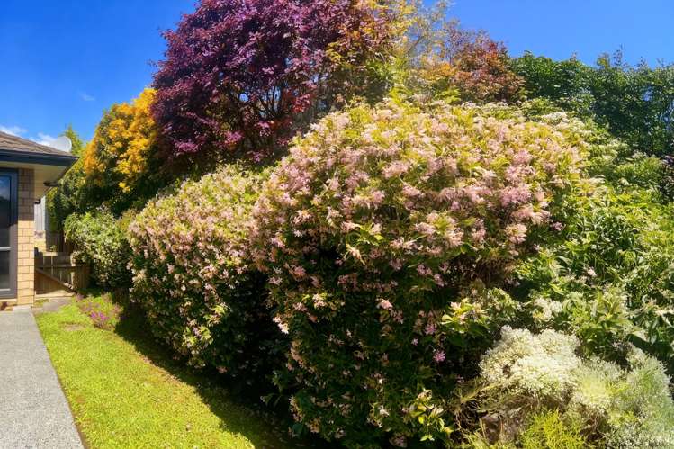 96 Alnwick Street Warkworth_27