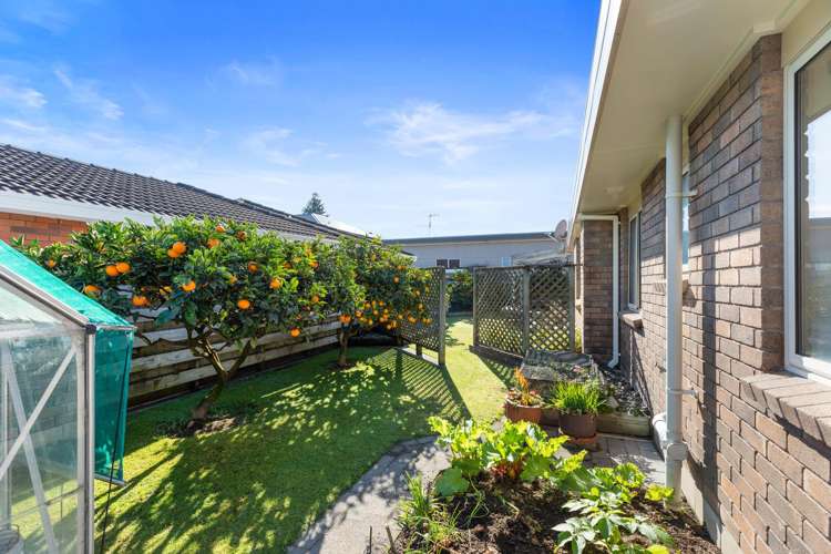 4 Omanu Court Mount Maunganui_19