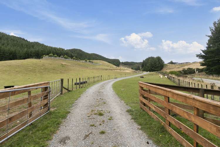 91b Kakariki Way Whitemans Valley_19