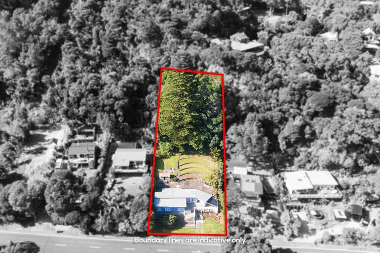 246 Motutara Road Muriwai_18