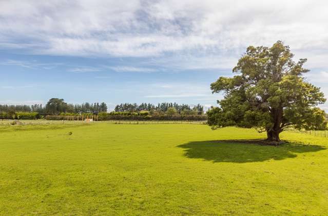 284 Woodside Road Greytown_1