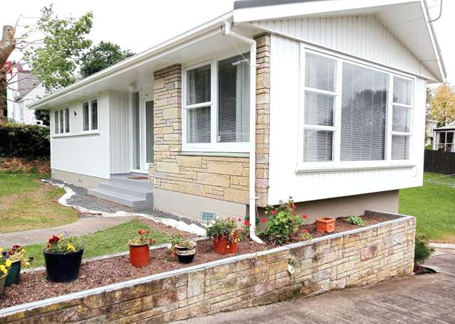 43 Wood Street Paeroa_3