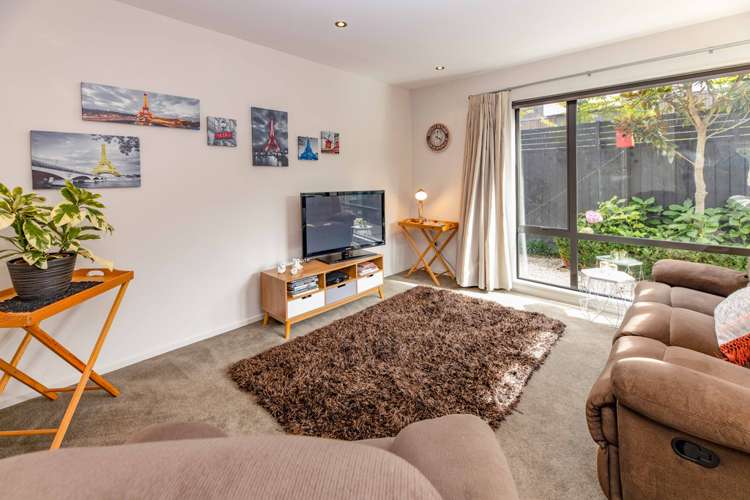 49a Winchester Street Merivale_5