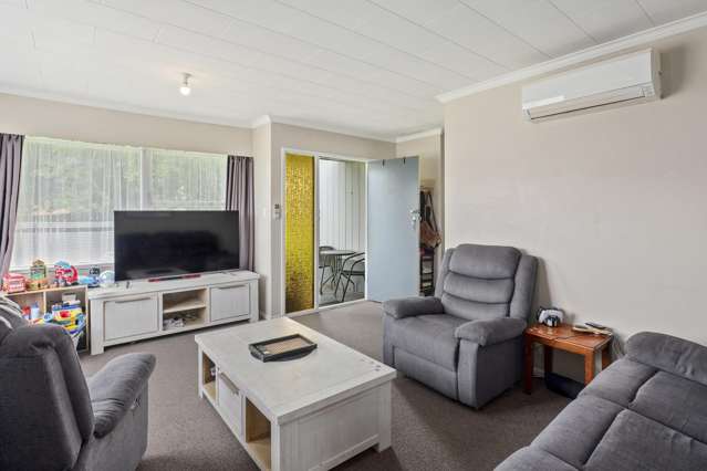 22 Collie Drive Pukehangi_2