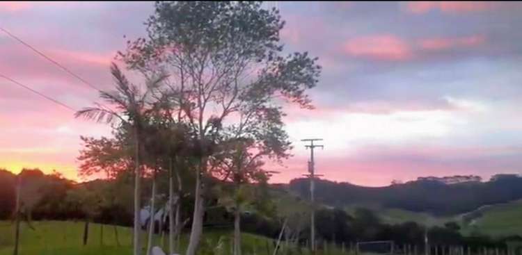 1093 Run Road Wellsford_38