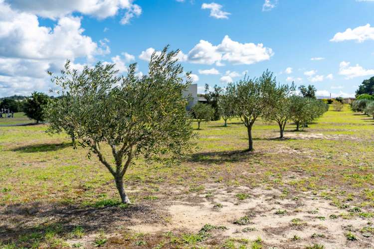 162 Tern Point Mangawhai_18