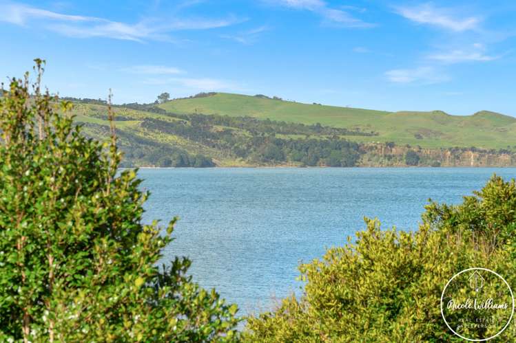 20 Komiti Road Tinopai_34