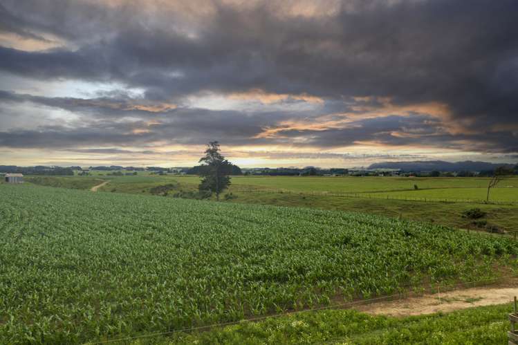 159 Koputaroa Road Levin_22