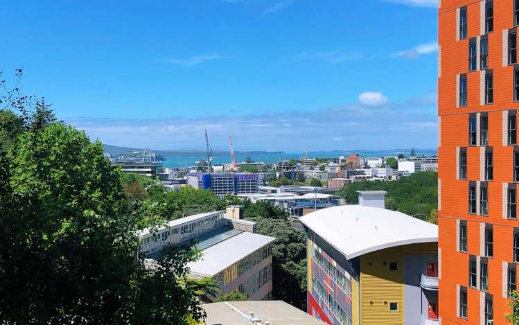 6a/2 Whitaker Place Grafton_8