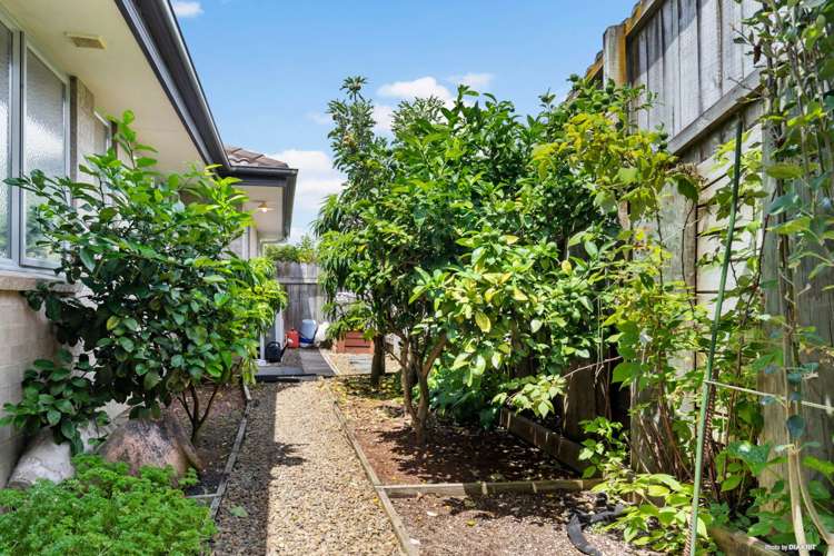 80 Reynolds Road Pukekohe_28