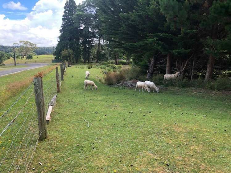 27 Haswell Street Eketahuna_16