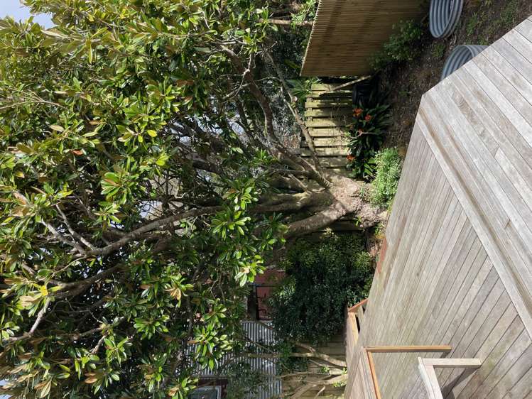 76H Edmonton Rd Henderson_26