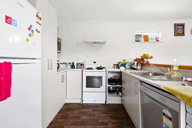  12 Ohaupo Road Hamilton Lake_2