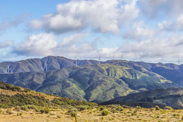 452 Southernthread Road Brooklyn_5