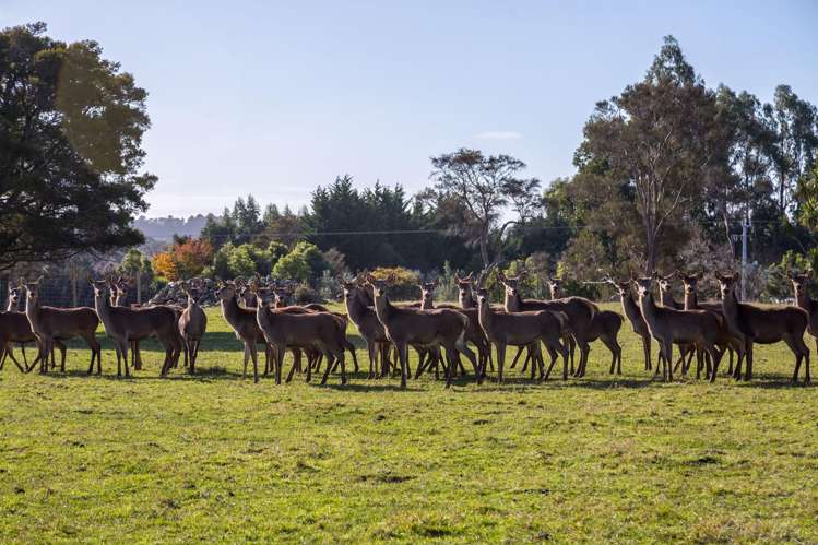 707 Norfolk Road Carterton_23