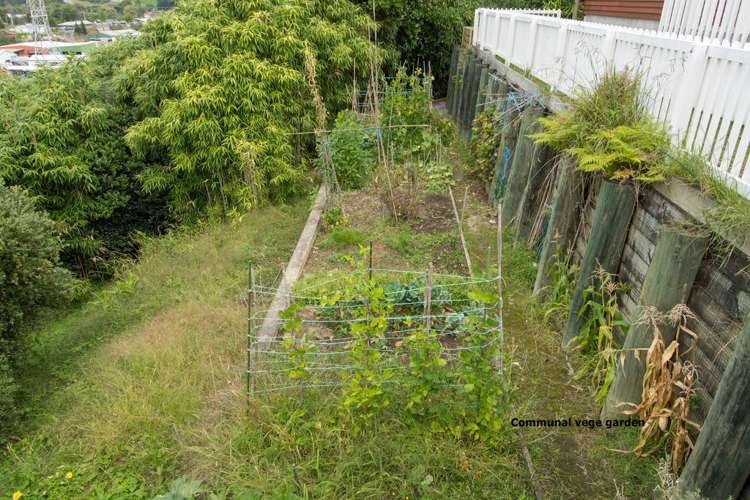 10/17 Simmonds Grove Greerton_1