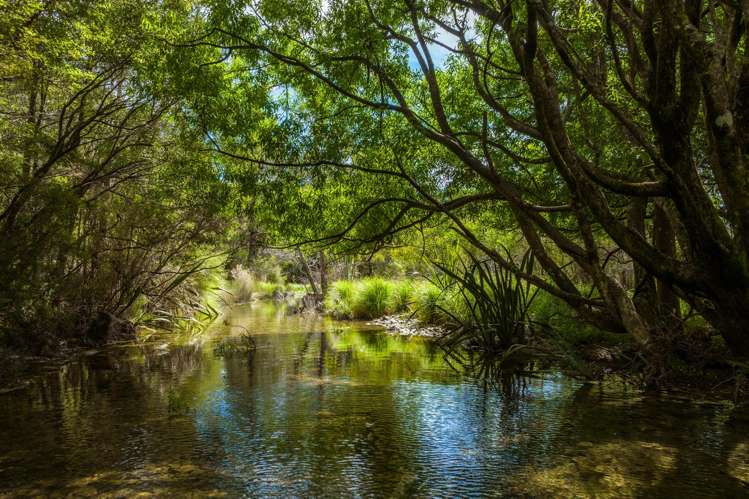 Lot 1 Nydia Bay Marlborough Sounds_9