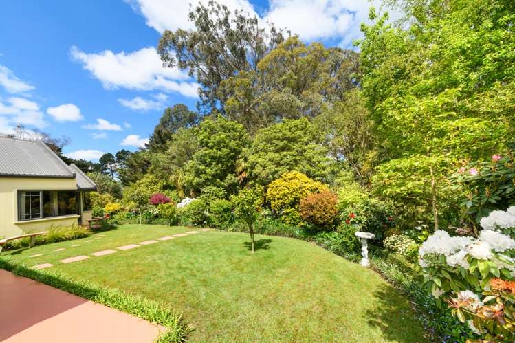 11 La Lena Grove Fitzherbert_1