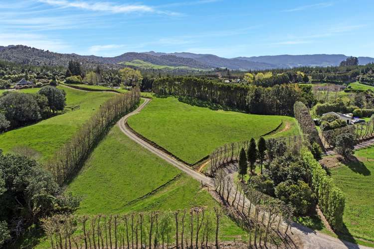 Thompsons Track Aongatete_5