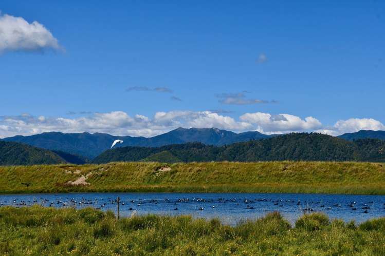 Lot 4 Nth Karamea Road Karamea_34