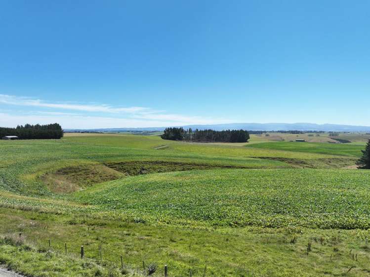 675 Black Bridge Road Ashley Downs_14