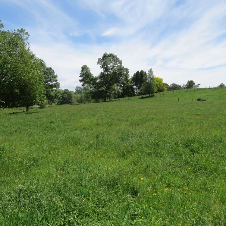 Whawharua Road Otorohanga_8