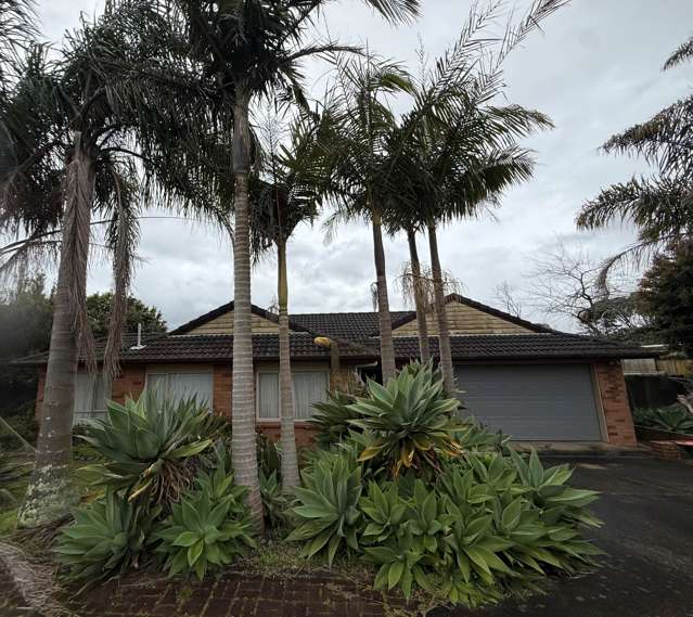 93 Kitchener Road Pukekohe_1