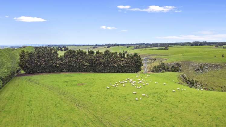 711 Brockley Road Rosewill_19