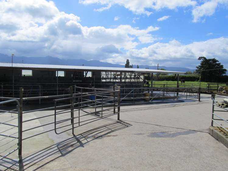 183 Waghorn Road Wardville_1