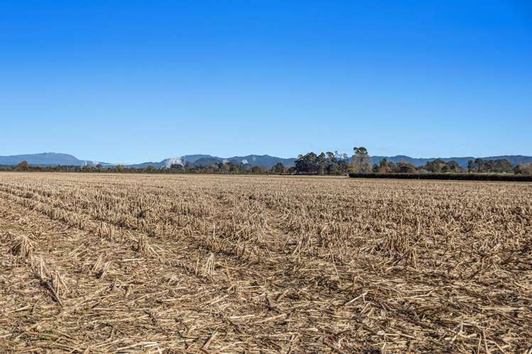 2237A and B State Highway 30 Te Teko_15