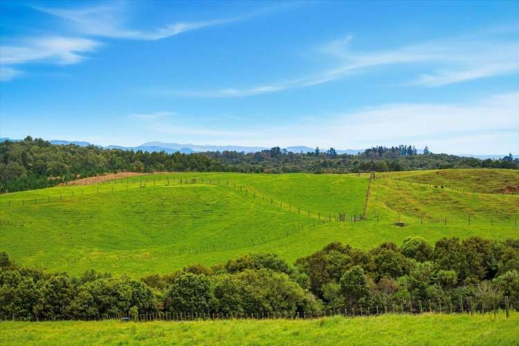 938c Whakamarama Road Whakamarama_12