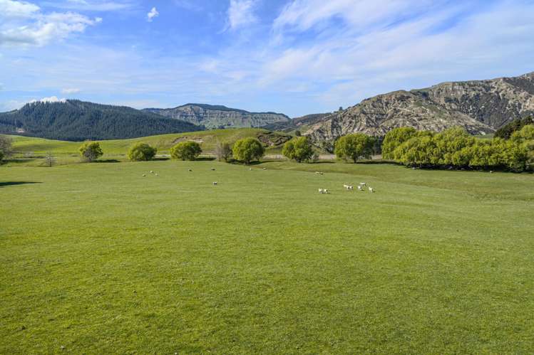 468 Waikoau Road Tutira_8