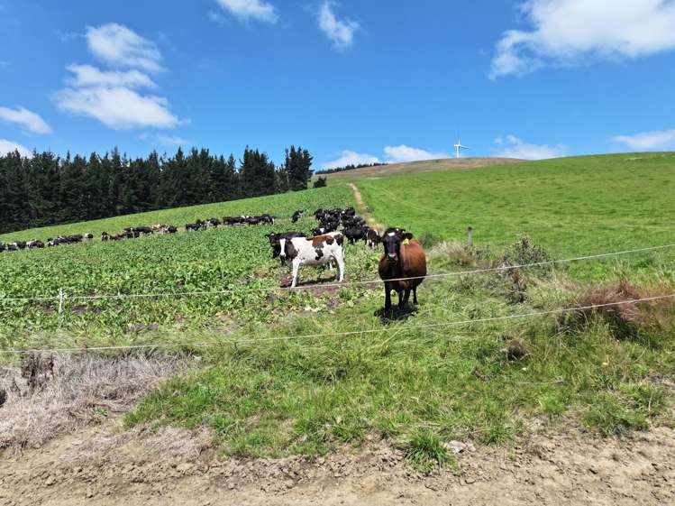 90 Rosemarkie Road Gore_16