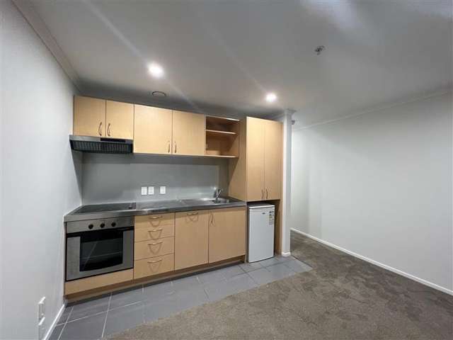 3f/20 Charlotte Street Eden Terrace_4