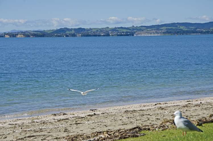 18 The Esplanade Eastern Beach_10