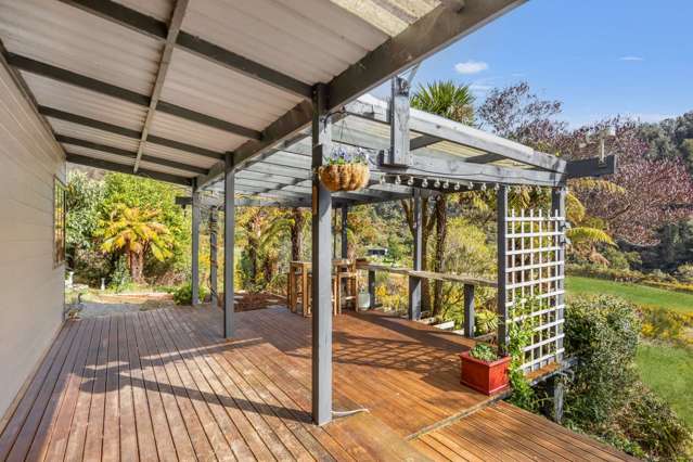 2436 Upper Buller Gorge Westport_2