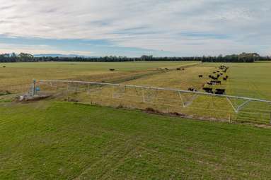 728 Valetta Westerfield Road_4