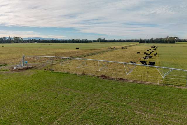 728 Valetta Westerfield Road Westerfield_4
